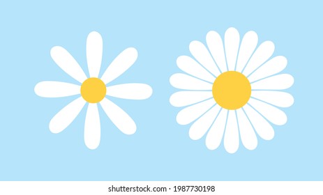 White cosmos flowers with yellow stamens isolated on blur background ,Vector illustration EPS 10