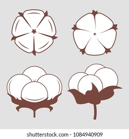 White cotton flowers set. Vector illustrations set. Monochrome stylized pictures of white cotton icon plant, organic ball fluffy boll