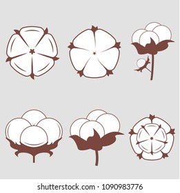 White cotton flowers set. Vector illustrations set. Natural Watercolor plant