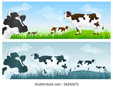 White cow with black spots on green grass pasture over blue sky