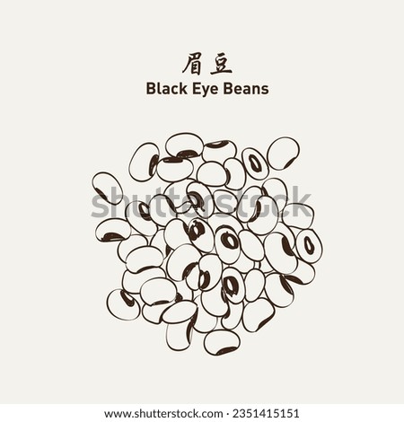 White cow pea beans (Black eye bean) 眉豆 Black-eyed beans. Vector Illustration EPS 10. 商業照片 © 