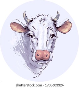 White cow. Sketch. Cow head, freehand drawing, vector image.