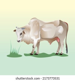 white cow vector cartoon, sacrificial animal vector, animal cartoon design vector illustration on white light green