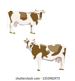 White cows with brown spots in various poses. Farm animals. Realistic vector animals isolated on white background