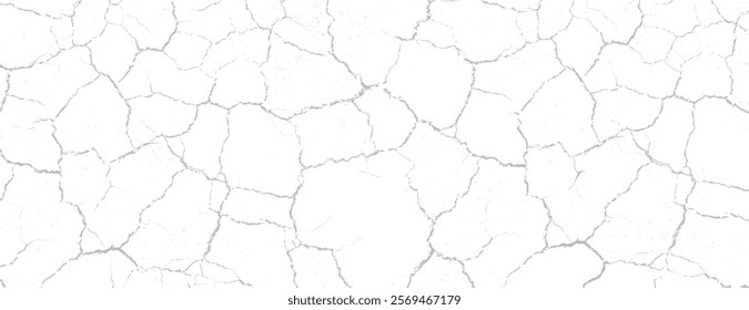 White cracked texture background, featuring a white background with a dry, cracked pattern. The white background adds a rustic feel.