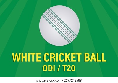 White Cricket Ball on Grass Pattern Background Vector. Odi T20 Leather Ball.