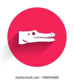 White Crocodile icon isolated with long shadow. Animal symbol. Red circle button. Vector