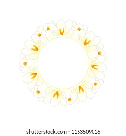 White Crocus Flower Banner Wreath. Vector Illustration.