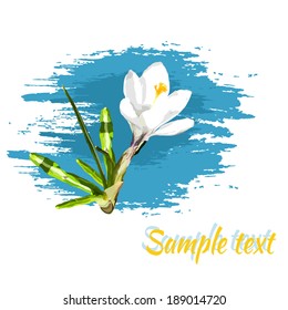 White crocus flower on blue sky background