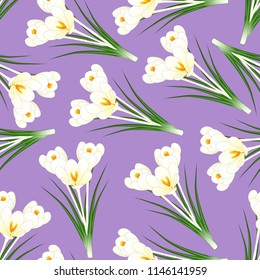 White Crocus Flower on Light Purple Background. Vector Illustration.