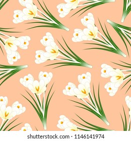 White Crocus Flower on Light Orange Background. Vector Illustration.