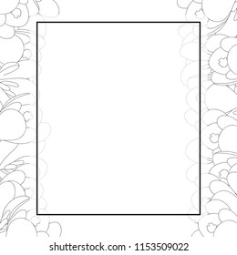White Crocus Flower Outline Banner Card Border. Vector Illustration.