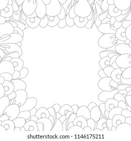 White Crocus Flower Outline Border. Vector Illustration.