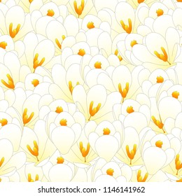 White Crocus Flower Seamless Background. Vector Illustration.