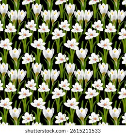 White crocuses in a pattern.Vector seamless pattern with white crocuses on a black background.