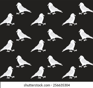 white crow pattern