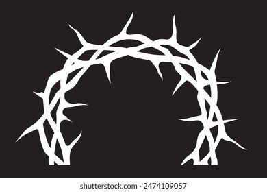 white crown of thorns image isolated on black background