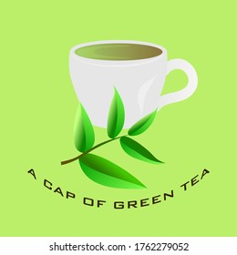 White Cup of Green Tee, Garnelen aus grünem Tee auf grünem Hintergrund mit Inschrift, Vektorgrafik