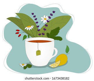 White cup of tea around different flowers and herbs. Can be used on banner, product package or on website. Colorful vector illustration isolated on white background.