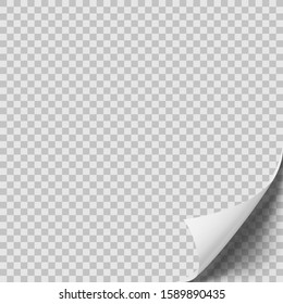 White Curled Sheet Of Paper With Shadow. EPS10 Vector