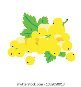 White currant berries with leaf isolated