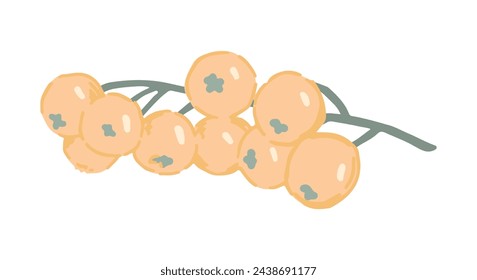 White currant berries twig clipart. Doodle of summer edible harvest. Cartoon vector botany illustration isolated on white background.