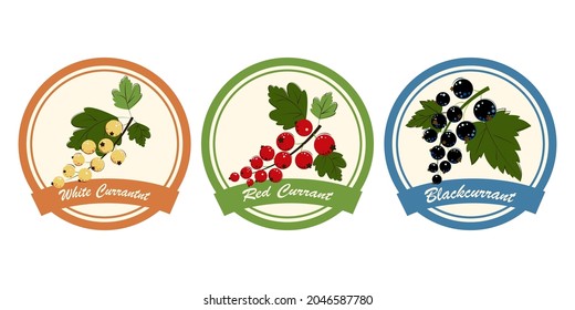 White Currant, Red Currant, Blackcurrant, Jam and Marmalade Labels. Ripe Berries for Jam, Dessert and Marmalade. Flat style Vector Illustration.
