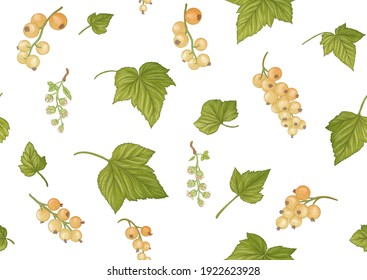 White currant. Ripe berries. Seamless pattern, background. Vector illustration. In botanical style Isolated on white background.