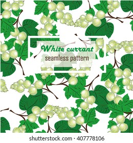White currant vector seamless pattern