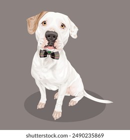 White cute dog with bow tie illustration