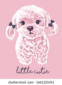 White cute Maltese lapdog girl on pink background