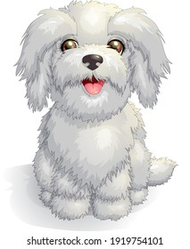 White cute Maltese lapdog puppy sitting cheerful, vector illustration. A purebred pretty dog. Smiling playful lap-dog breed in cartoon style. Clipart isolated on white background