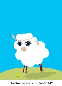 white cute sheep in grassland