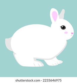 Blanco lindo y feo y suave conejo de la liebre de invierno