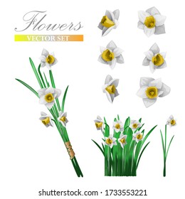 white daffodil in a bouquet and by elements, bud in different angles, stem and leaves.