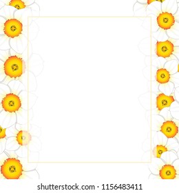 White Daffodil - Narcissus Flower Banner Card Border. Vector Illustration.
