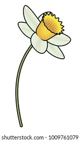 A white daffodil with a yellow center.
