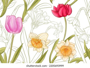 White daffodils and tulips flowers, the early spring flowers. Seamless pattern, background. Vector illustration. In botanical style