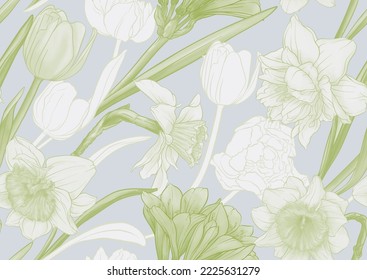 White daffodils and tulips flowers, the early spring flowers. Seamless pattern, background. Vector illustration. In botanical style