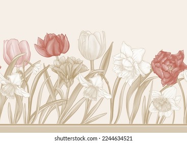 White daffodils and tulips flowers, the early spring flowers. Seamless border pattern, linear ornament, ribbon Vector illustration. In botanical style