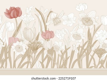 White daffodils and tulips flowers, the early spring flowers. Seamless border pattern, linear ornament, ribbon Vector illustration. In botanical style