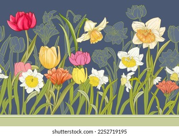 White daffodils and tulips flowers, the early spring flowers. Seamless border pattern, linear ornament, ribbon Vector illustration. In botanical style