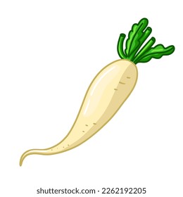 White Daikon radish with green leaf isolated on white background. Icon vector illustration.