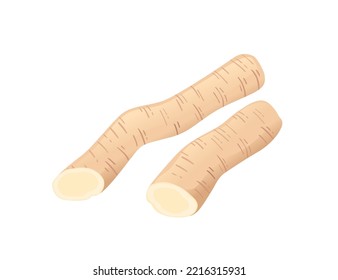 White daikon radish root with green stem cartoon vegetable plant vector illustration isolated on white background