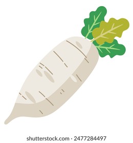 White daikon radish vegetable, flat design vector illustration, fresh white radishes cartoon icon, daikon radishes clipart image, sayuran lobak putih clip art, healthy vegetables