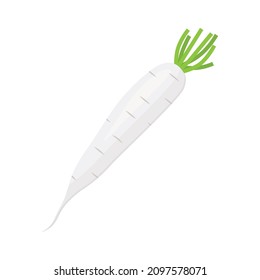 white daikon radish vegetable icon -vector illustration
