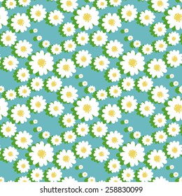 White daisies flower seamless pattern on a blue background.Daisy field