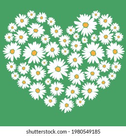 white daisies, Heart shape made of flowers. Valentine's Day.
