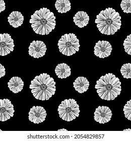 White daisies on a black background. Vector seamless pattern