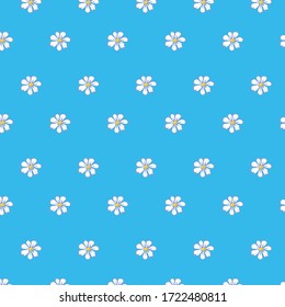 white daisies on a blue background vector